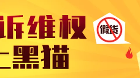 女篮世界杯深度解析：精彩赛事回顾与胜负解析全记录